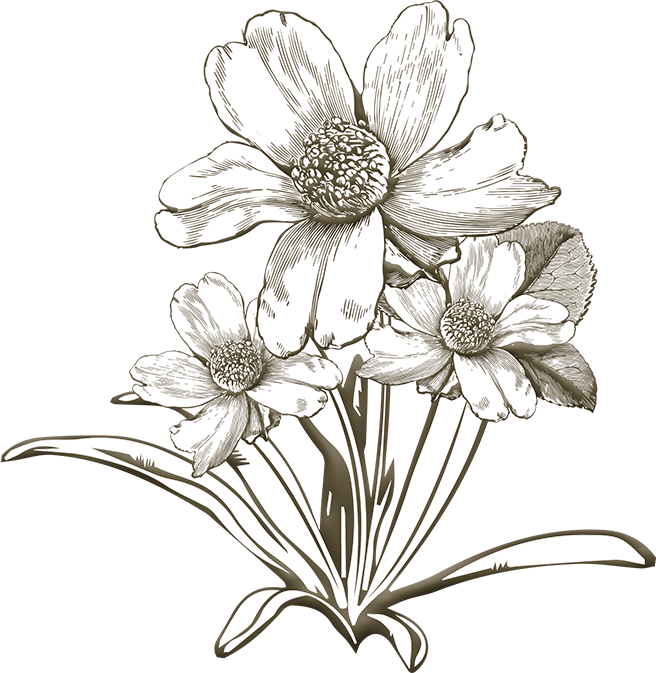Die Blume gehört zu den Elementen der COOEE alpin Spirit Grafik.
